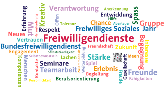 freiwilligendienst