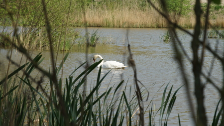 Seenpark 1 450